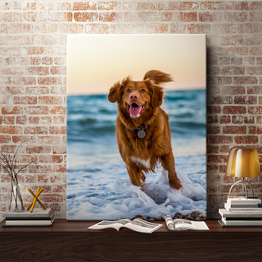 Bruine hond rennend in de zee op canvas op een bakstenen muur
