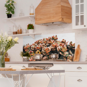 Moderne keuken met planten en houtkleurige en witte voorwerpen