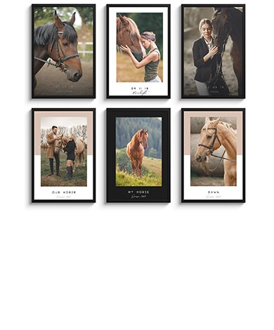 Paardenfoto in lijst