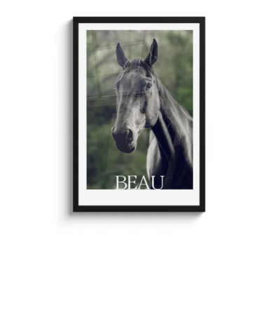 Foto in lijst - Tijdschrift