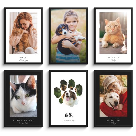 Voorbeelden van honden en katten posters met lijst