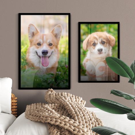 Set van twee hondenfoto's op poster in lijst