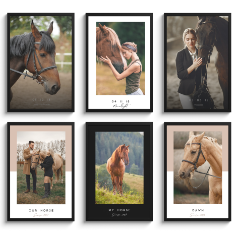 6 templates van een paarden poster met lijst