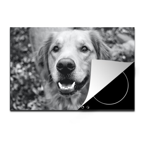 Inductiebeschermer met foto van hond