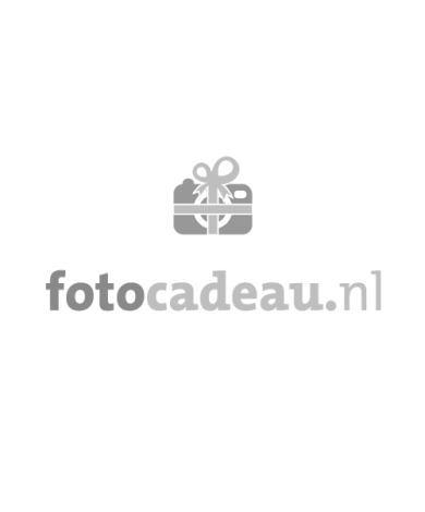 Fotolijst - 20x30 cm - Avontuurlijke dino's - Lijst 1