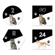 4 voorbeelden van een naambordje voordeur katten thumbnail
