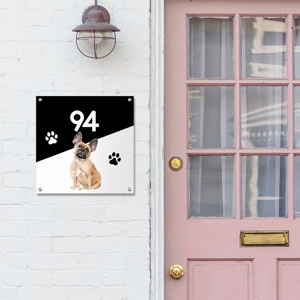 Huisaambordje honden