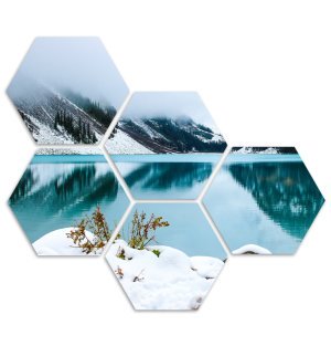 Foto op aluminium 40x30 cm