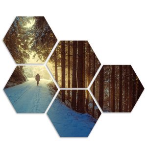 Foto op aluminium 40x30 cm