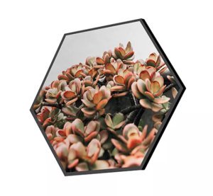 Foto op aluminium 60x40 cm