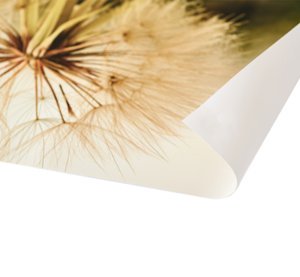 Foto op aluminium 40x30 cm