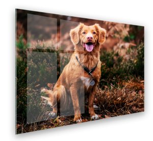 Foto op aluminium 100x70 cm