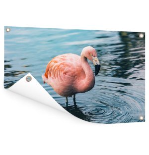 Foto op aluminium 100x70 cm