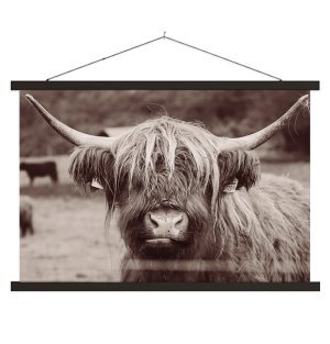 Foto op aluminium 100x70 cm