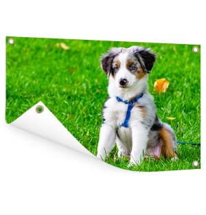 Foto op aluminium 40x30 cm