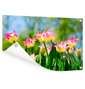 Foto op aluminium 100x70 cm