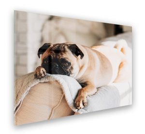 Foto op aluminium 100x70 cm