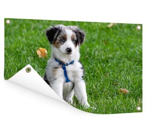 Foto op aluminium 60x40 cm