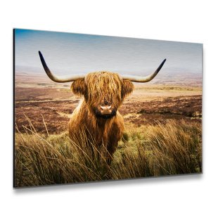 Foto op aluminium 40x30 cm