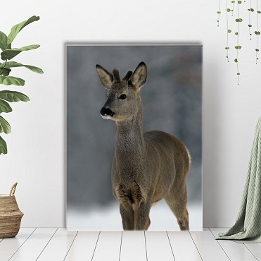 Onze galerij