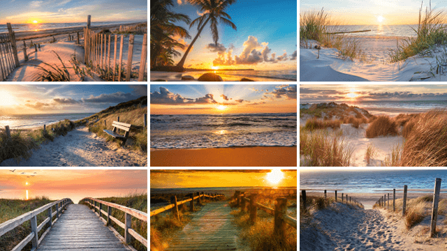 Overzicht van inductiebeschermer strand & zee collectiebeelden