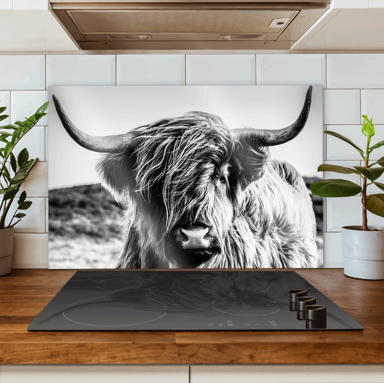 Spatscherm keuken collecties