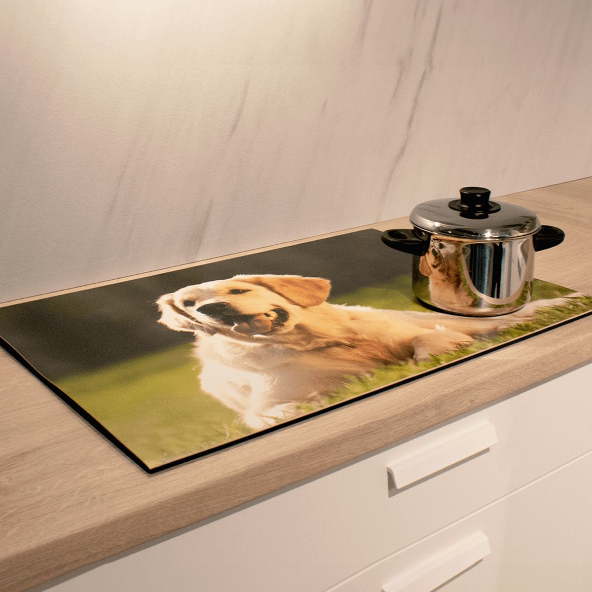 Inductie beschermer foto hond