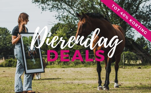 Cadeau voor dierendag