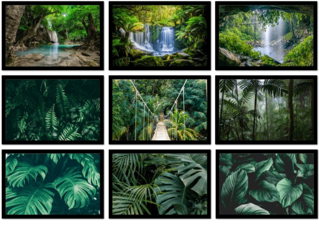 Jungle