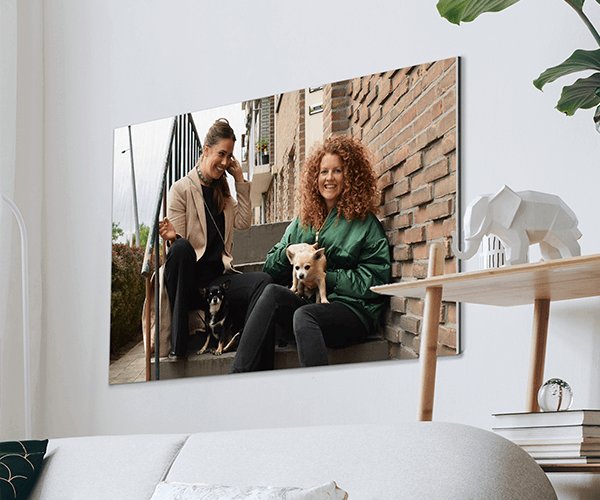 honden foto op aluminium