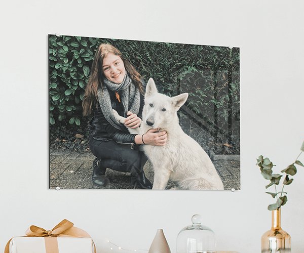 honden foto op plexiglas