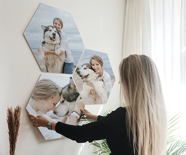 honden foto op hexagon