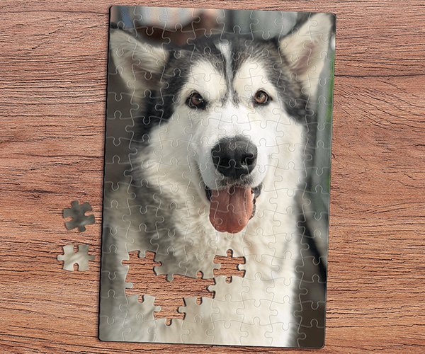 honden foto op puzzel