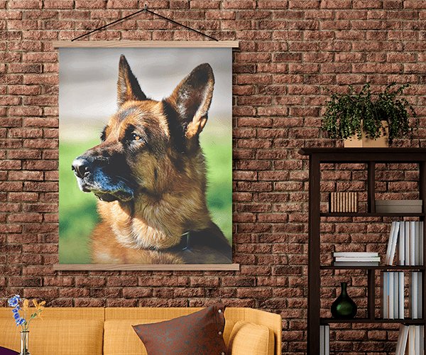 honden foto op schoolplaat