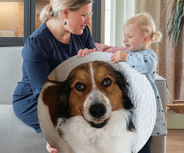 honden foto op wandcirkel