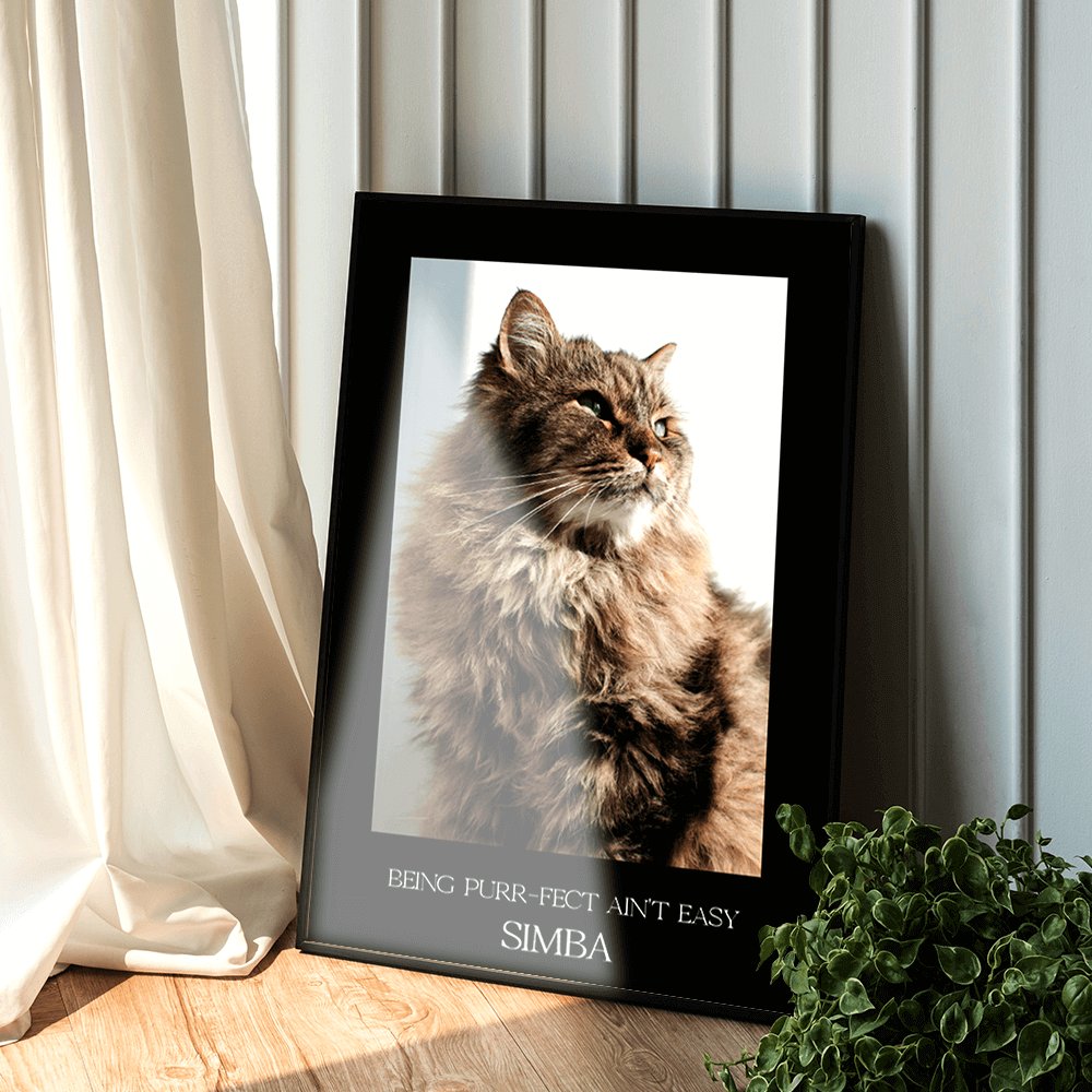 Fotolijst kat