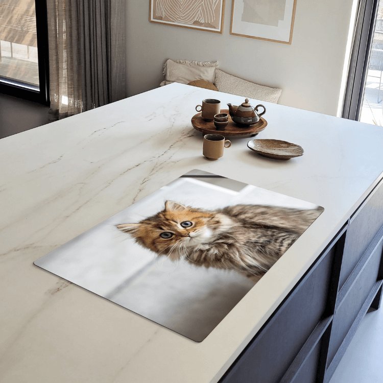 Inductiebeschermer kat