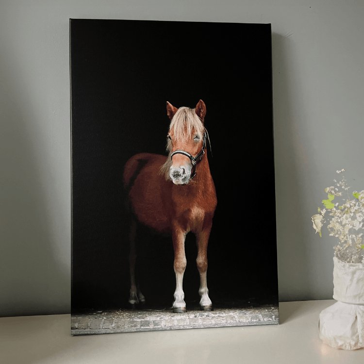 Canvas paarden