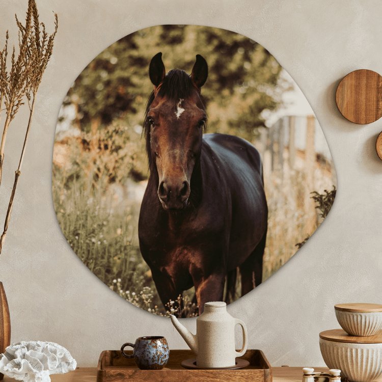 Organische vorm paard