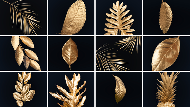 Spatscherm golden leaves