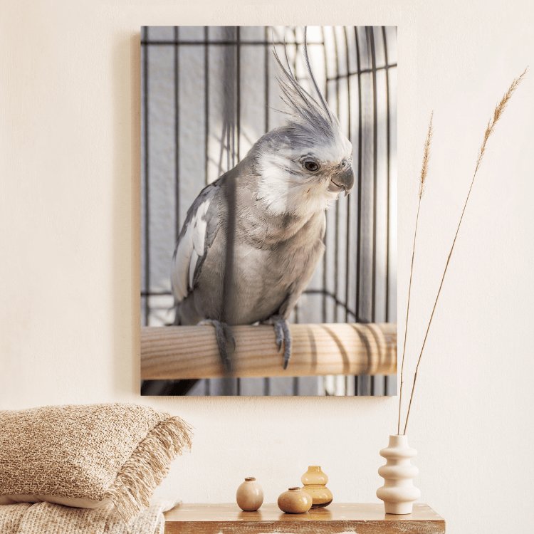 Canvas vogels