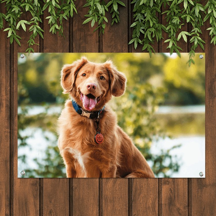 Tuinposter