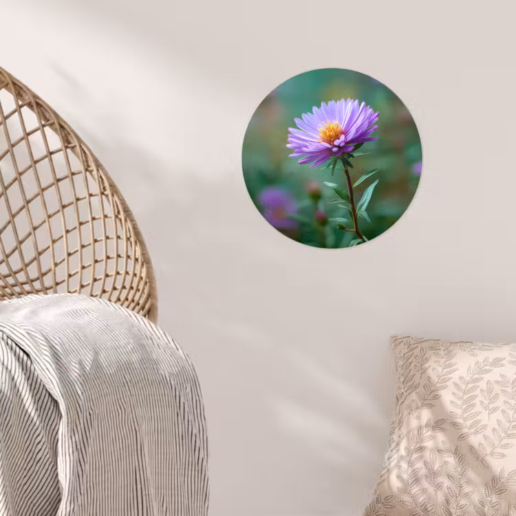 Behangcirkel - Aster - Paars - Bloem - Blaadjes — 5