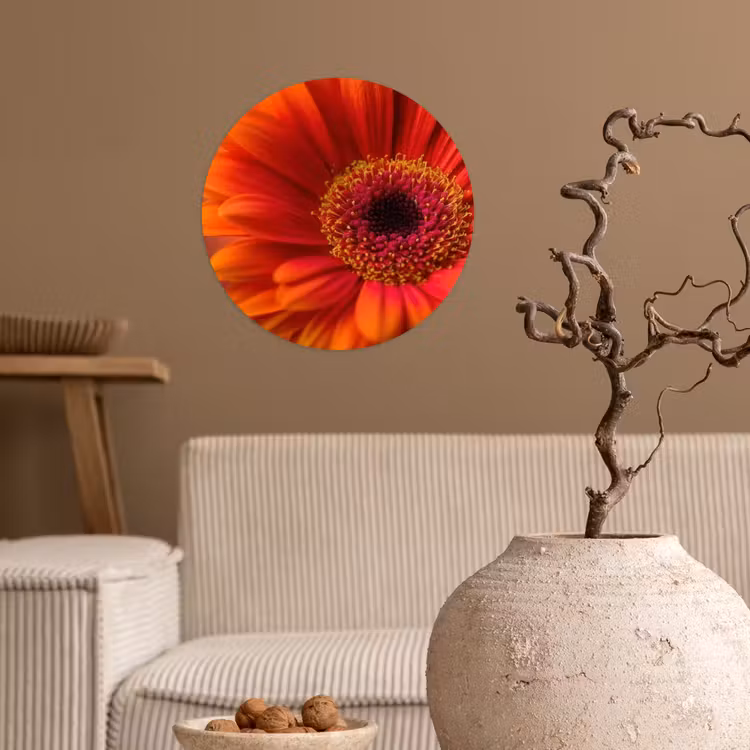 Behangcirkel - Oranje - Gerbera - Intens — 2