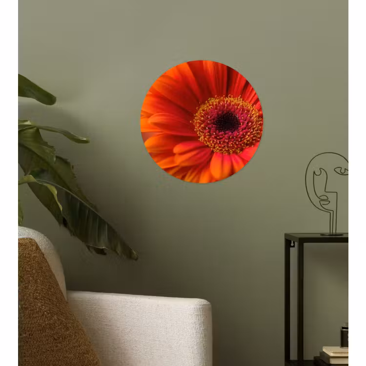 Behangcirkel - Oranje - Gerbera - Intens — 3
