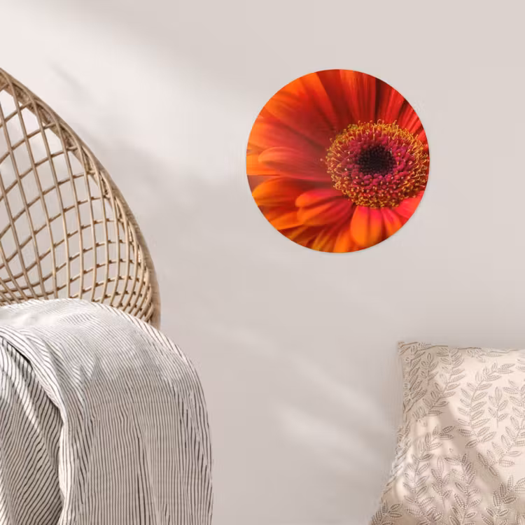 Behangcirkel - Oranje - Gerbera - Intens — 5
