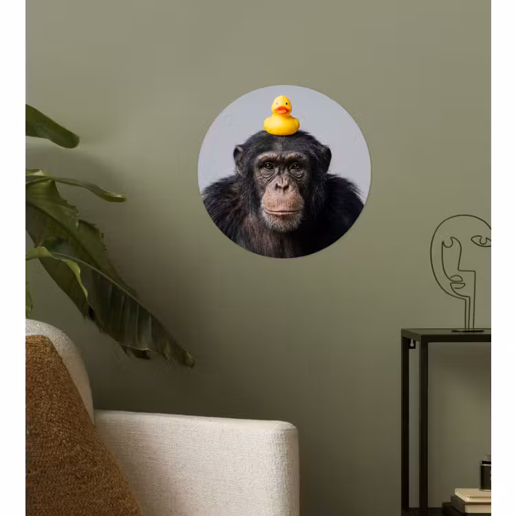 Behangcirkel - Chimpansee - Badeend - Grijs — 3