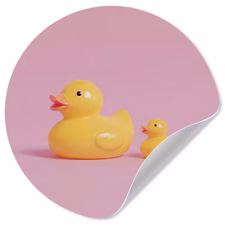 Behangcirkel - Eendjes - Vrolijk - Roze — 1