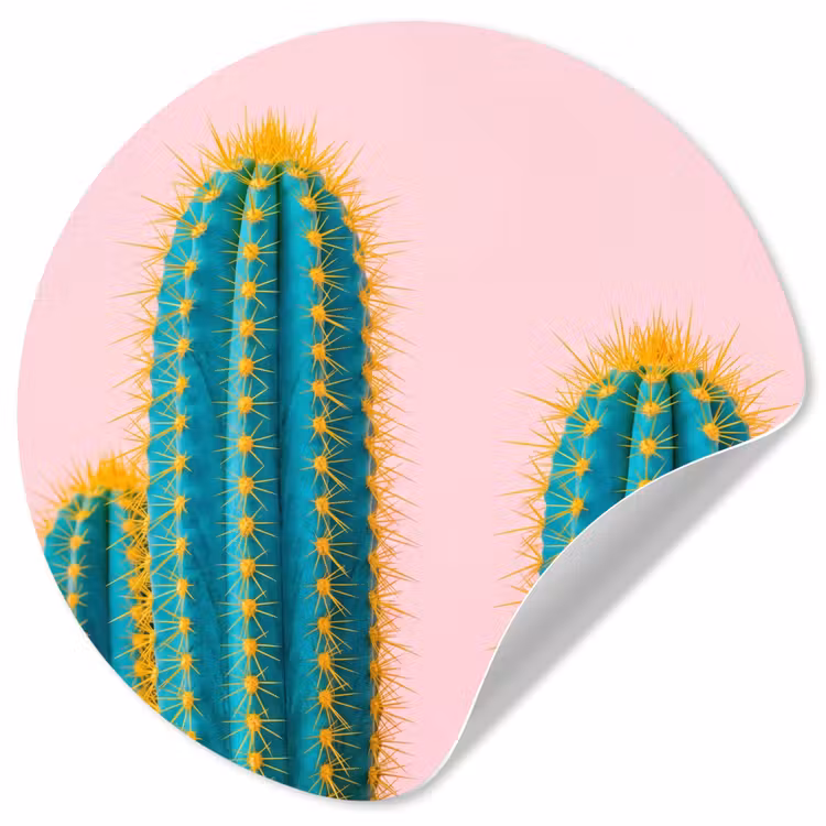 Behangcirkel - Cactussen - Modern - Pastel — 1
