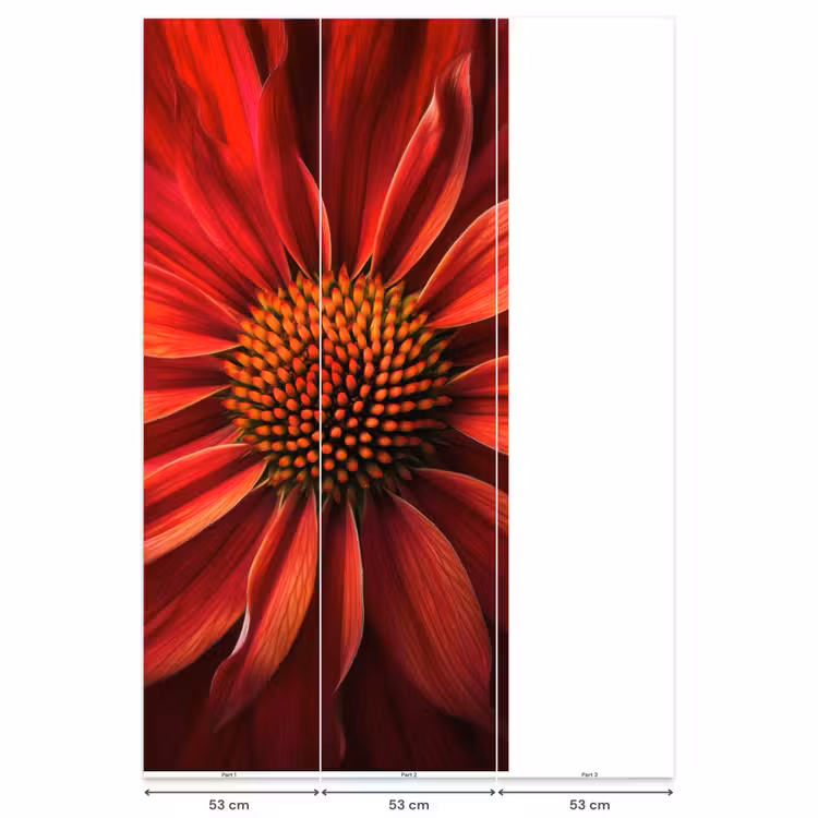 Behang - Close up - Bloem- Rood — 6